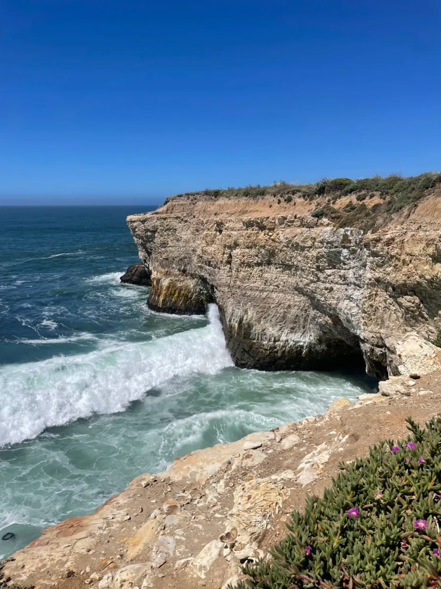 Photo by Graham Hagenah: waves breaking against a sandstone sea cliff under a deep blue sky, with purple ice plant flowers in the foreground